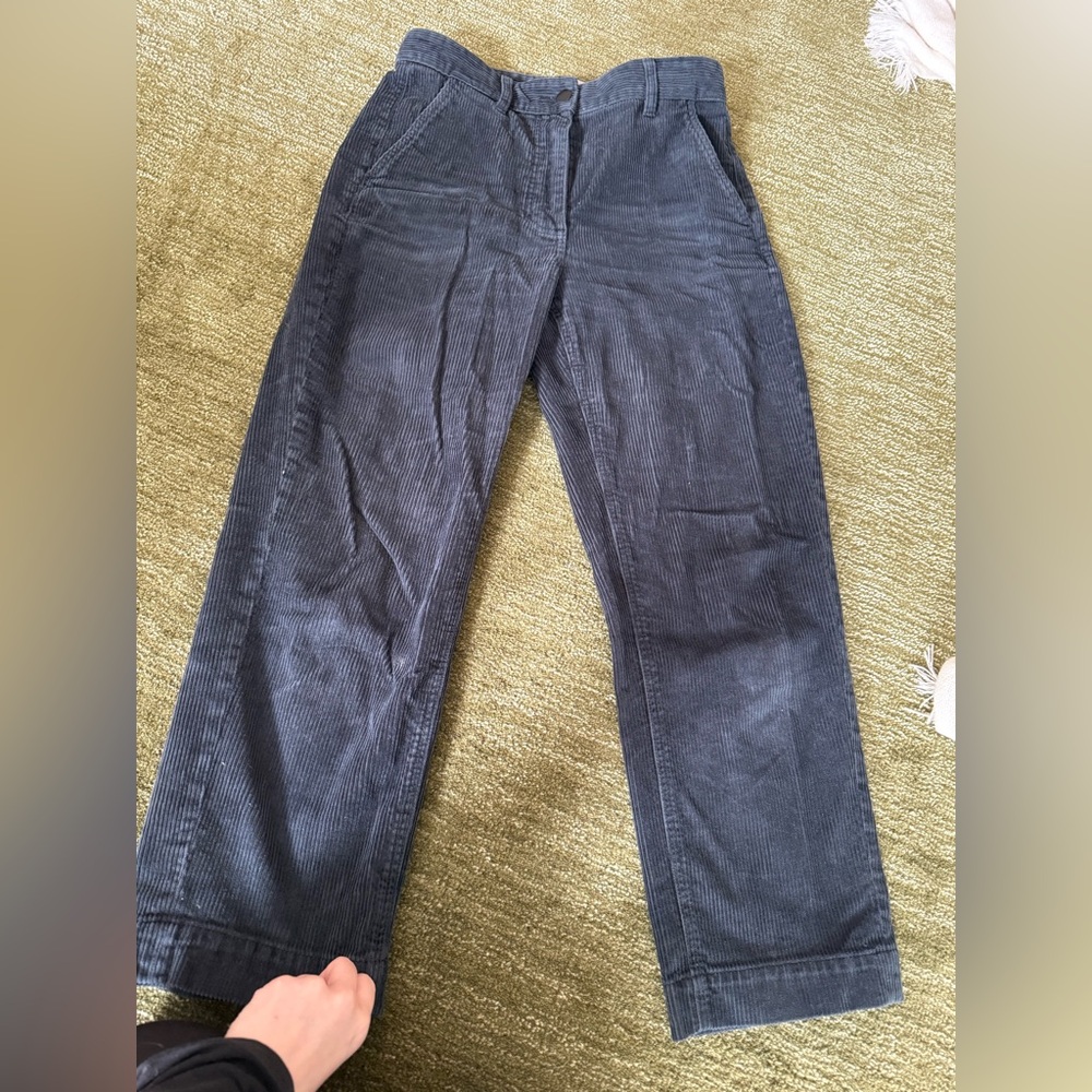 Everlane Navy Corduroy Pants